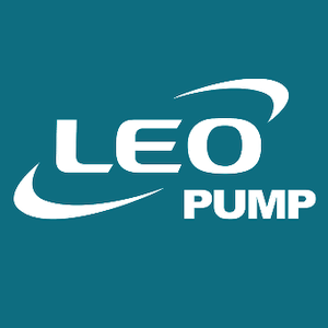 LEO (China)