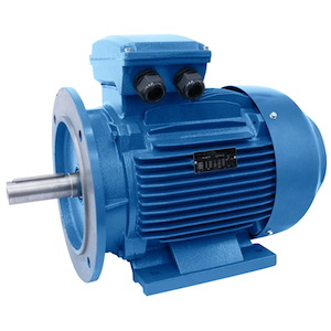 Flange & Foot Mounted Motor (B35, 415V, 50Hz)